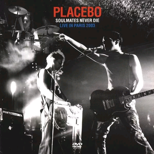 好爽又高潮了毛片A片第1集
