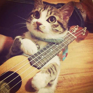 好爽又高潮了毛片A片第1集
